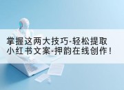 掌握这两大技巧-轻松提取小红书文案-押韵在线创作!